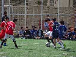 MIS Sports